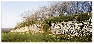 Camp de cora : actuel